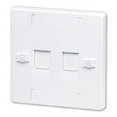 Hubbell BPS12 UK-Style Single-Gang, 2-Port, Unloaded Flat Plate (Pkg of 10)